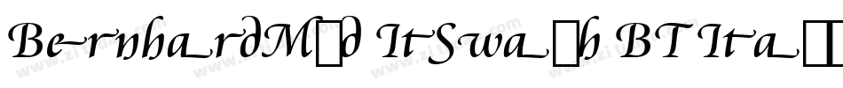 BernhardMod ItSwash BT Italic Swash字体转换